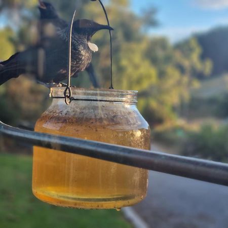 Catlins Lake Sanctuary Owaka Kültér fotó