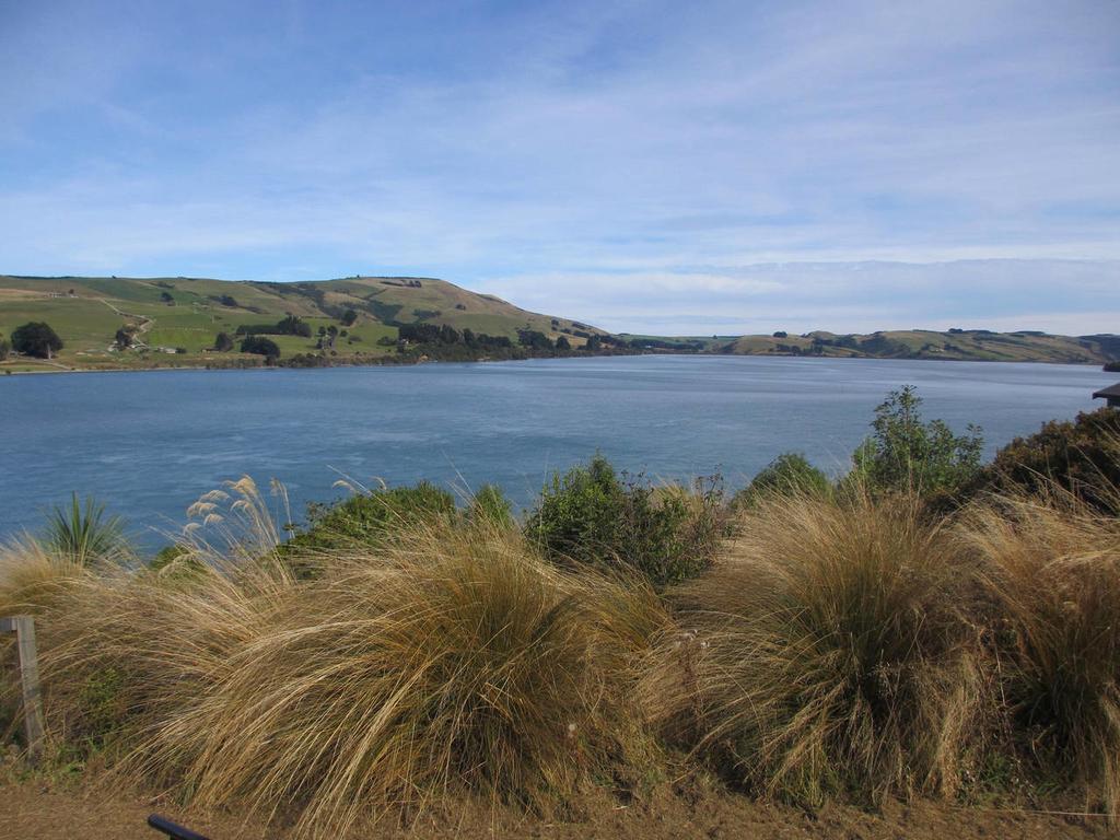 Catlins Lake Sanctuary Owaka Kültér fotó